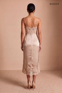 Champagne Lace V-Neck Slip Dress – studio, back