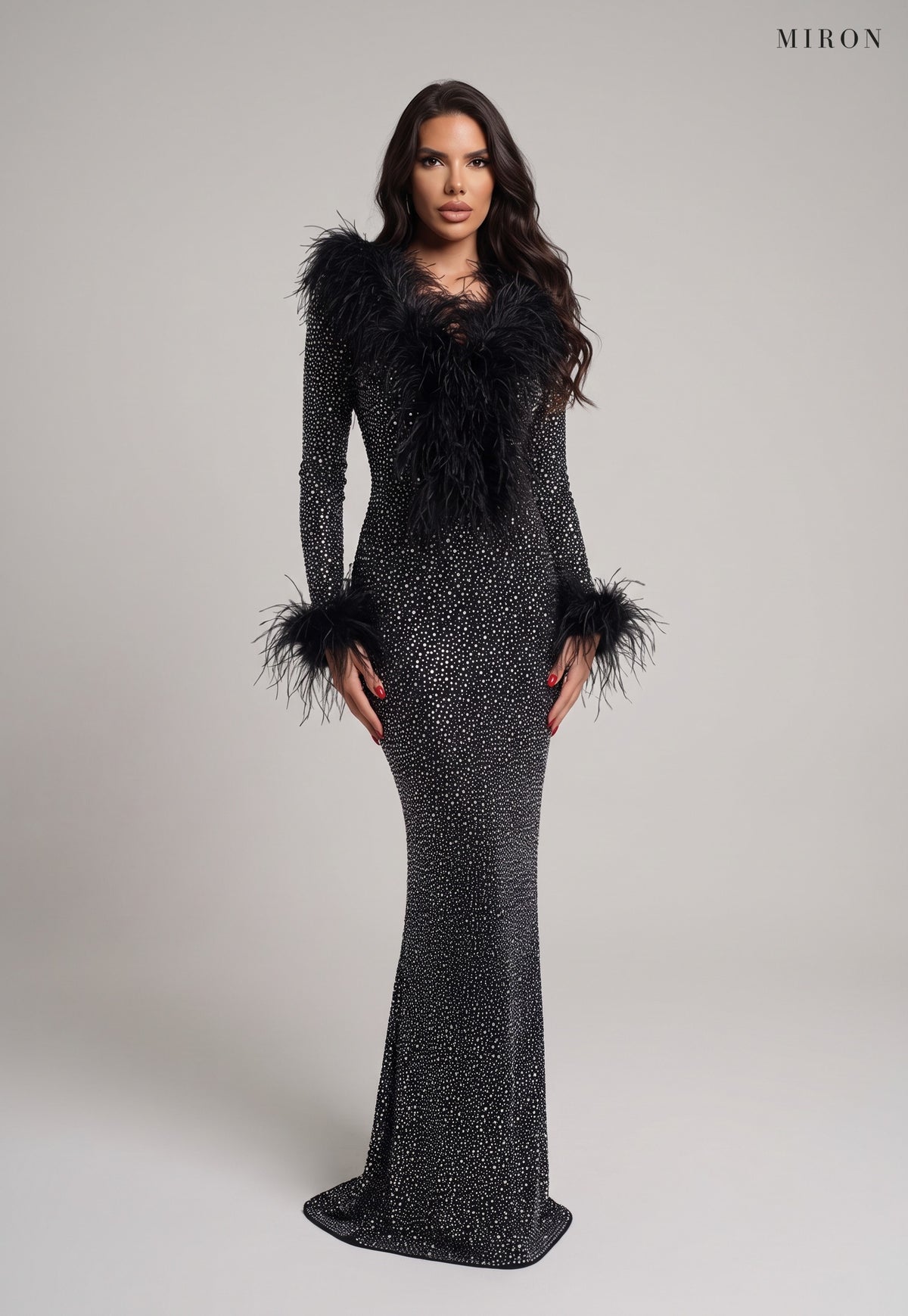 Miron Crystals Embellished Dress With Feathers ED-BLK-031 – studio front view
