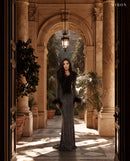Miron Crystals Embellished Dress With Feathers ED-BLK-031 – Rome palazzo arch