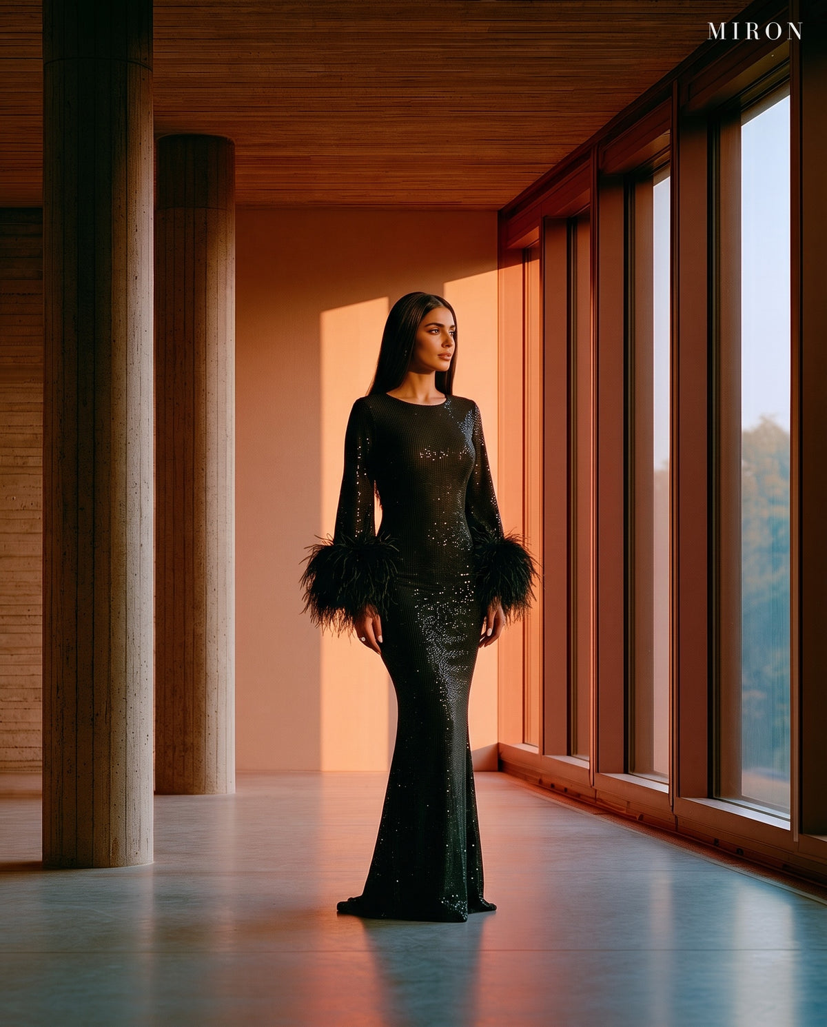 Miron Black Crystal-Embellished Feather Dress ED-BLK-099 – brutalist window light