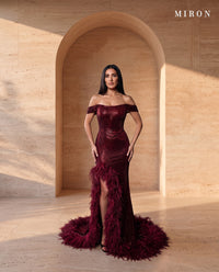 Corset Dress With Feathers - MIRON