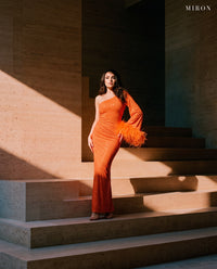 Miron Orange Crystal Embellished Dress With Feather ED-ORG-053 – sunlit stone steps