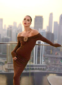 Brown Off Shoulder Dress.