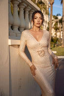 Beige Crystal Embellished Gown.